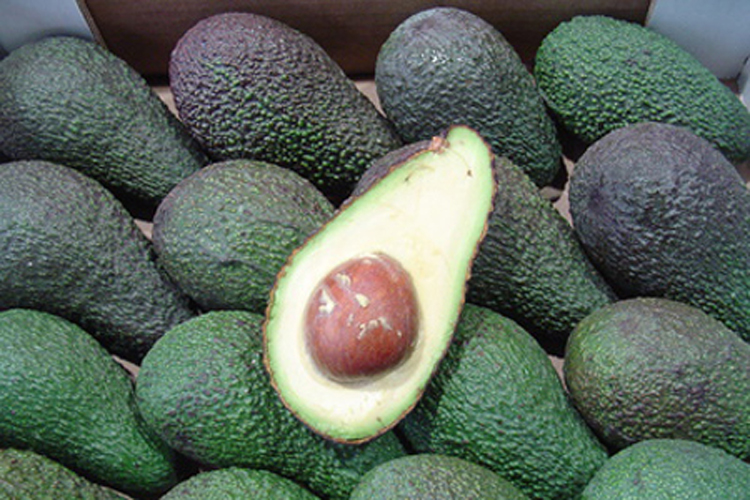 Aguacates calientes a la salsa
