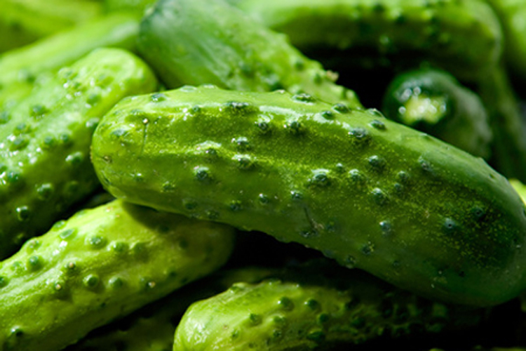 evitar que repita el pepino