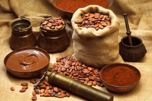 Usos y propiedades del cacao