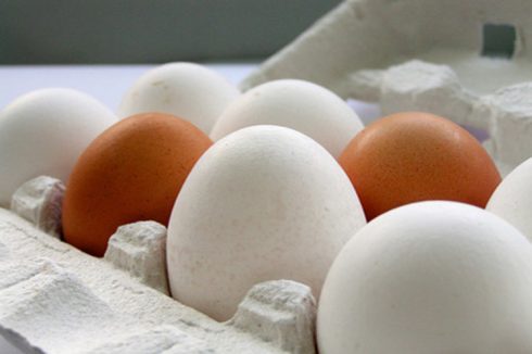 Propiedades de los huevos