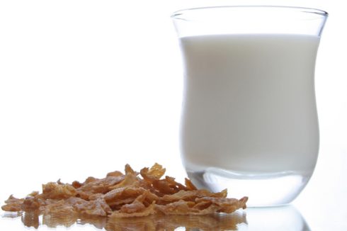 Propiedades de la leche de avellanas