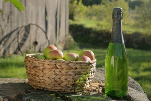 Propiedades de la sidra