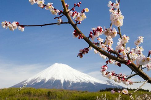 ¿Qué es el Reiki Usui japonés?