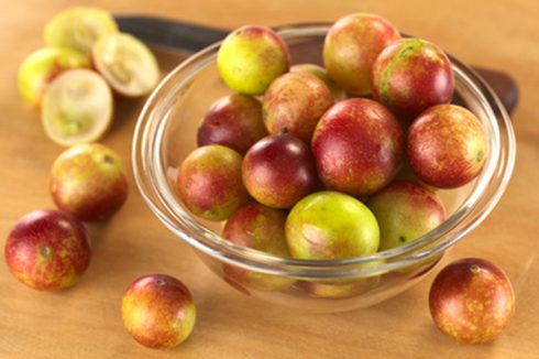 Propiedades del camu camu y sus usos