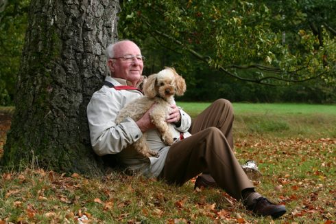 Beneficios de la terapia con perros
