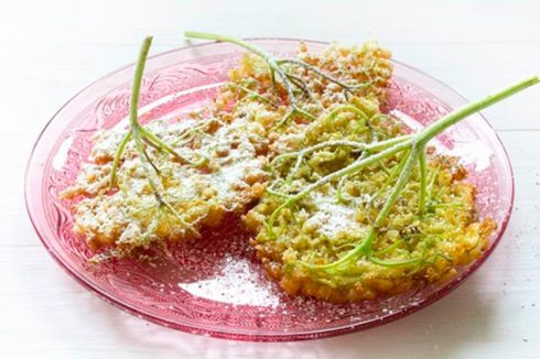 Flores de saúco: recetas para aprovechar sus beneficios